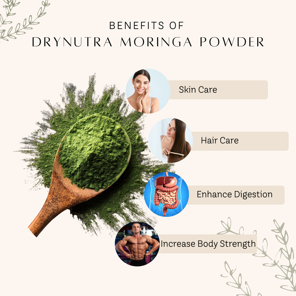 DryNutra Moringa Powder – 200g | 100% Natural Moringa Leaf Powder